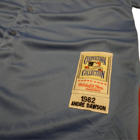 Montreal Expos Baseball Jersey