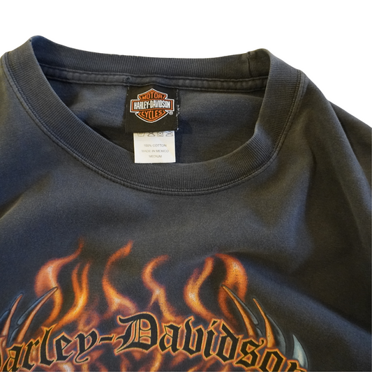 Harley Davidson Flames Tee