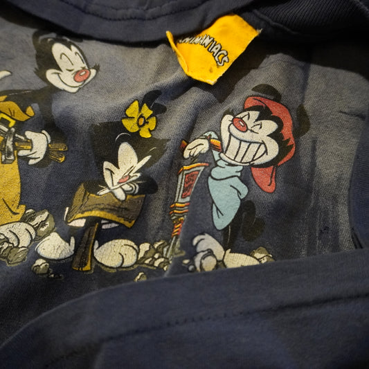 Vintage "1994" ANIMANIACS Mount Rushmore Tee